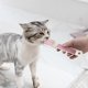 thumbnail image 2 of Comedero para gatos 2 en 1 con tira deslizante 2025. Dispensador para gatos mejorado. Comedero portátil y bonito con tira deslizante. Artículos para mascotas (A), 2 of 2