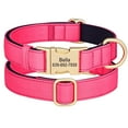 thumbnail image 3 of Didog Personalized Dog Collars Pet Waterproof Nylon Custom Laser Engraved Metal Buckle, 3 of 8