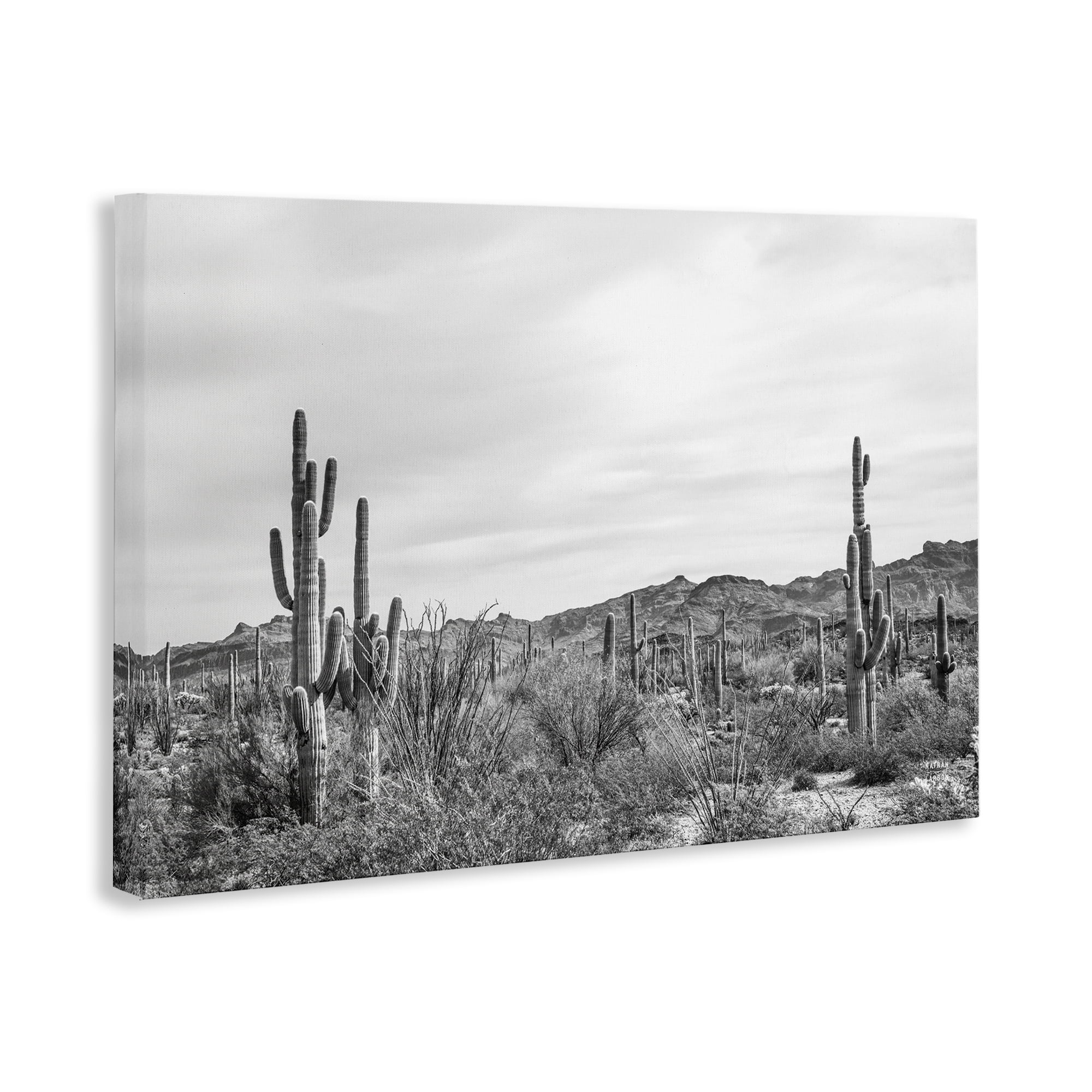 Stupell Industries Sonoran Desert Wonderland Landscape & Nature Photography Wrapped Canvas Art Print Wall Art, 24 x 16