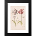 thumbnail image 2 of Jacob Marrel 11x14 Black Modern Framed Museum Art Print Titled - Two Tulips with Insects (1624 - 1681), 2 of 5