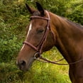 thumbnail image 3 of Henri de Rivel Advantage Fancy Raised Padded Bridle with Laced Reins, 3 of 3