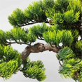 thumbnail image 3 of Árbol de bonsái artificial con maceta realista de madera y cerámica, plantas falsas for la oficina del dormitorio en casa, 3 of 6