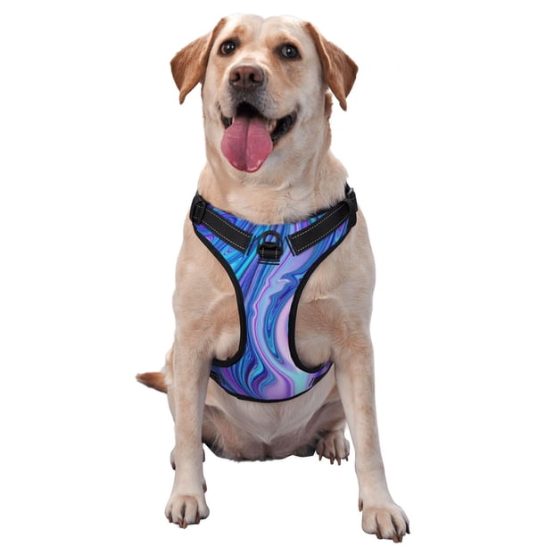 Fotbe Swirl Blue And Purple Arnés para Perro con Estampado –Chaleco Ajustable Acolchado con Asa de Control para Perros Grandes-X-Large