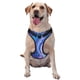 thumbnail image 1 of Fotbe Swirl Blue And Purple Arnés para Perro con Estampado –Chaleco Ajustable Acolchado con Asa de Control para Perros Grandes-X-Large, 1 of 6