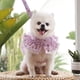 thumbnail image 5 of Tirantes y trajes de piel para cachorros, bonitos trajes de piel con tirantes para cachorros, vestidos con tirantes para perros para niñas, vestidos de flores para mascotas para primavera y verano, 5 of 5