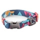 thumbnail image 1 of Collar para perro suave y cómodo Poleyster con cierre de seguridad ajustable para perros pequeños, medianos y grandes, 1 of 5