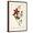 Brown Frame, variant on Art.com Audubon Bird & Botanical I Art Print by John James Audubon, 12" x 18"