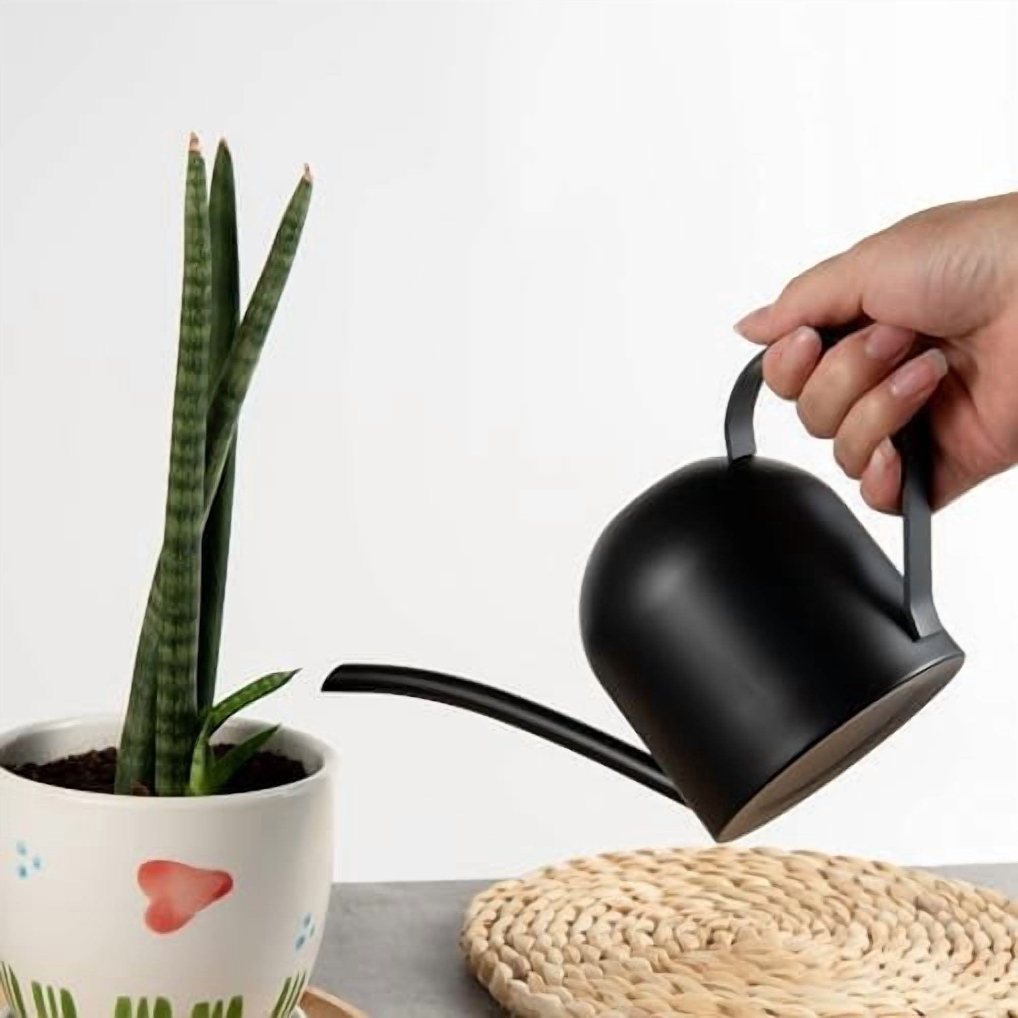 Small Watering Can for Indoor Plants Stainless Steel Watering Can with Long Spout 15oz/450ml, (Black)