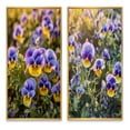 thumbnail image 2 of Designart "Natural Beauty of Purple and Yellow Pansies IV" Floral Framed Wall Art Set Of 2 - Purple Floral Framed Wall Art Set Of 2, 2 of 7