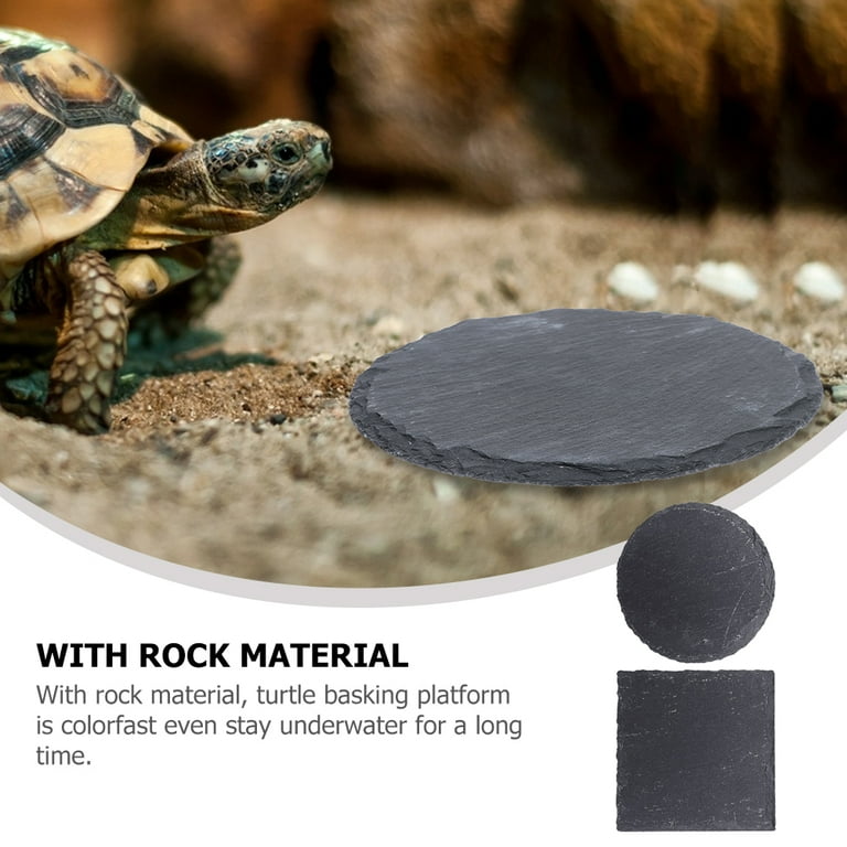 Buy Turtle Basking Platform,turtle Tank Accessories Basking Platform Dock Decorations Hermit Crab Habitat Frog Swimming Pool Aquatic And Aquariums Buy Turtle Basking Platform,turtle Tank Accessories Basking Platform Dock Decorations Hermit Crab Habitat Frog Swimming Pool Aquatic And Aquariums