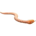 thumbnail image 2 of Jouet Serpent Télécommandé Réaliste 16 Pouces Simulation à Déplacement Rapide Faux Hochet Serpent Robot Rechargeable Jouet Effrayant pour Enfants, 2 of 8