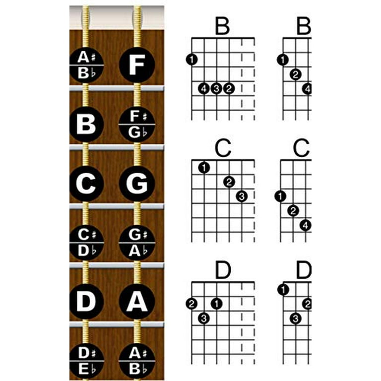 Left Hand Guitar Chord Chart