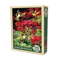 thumbnail image 2 of Ruby Geraniums, 2 of 2
