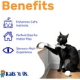 thumbnail image 2 of Kats'N Us 2–4 Inch Jumbo Pack of 10 Pom Pom Cat Toys – White Color Balls, 2 of 4
