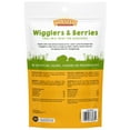 thumbnail image 4 of Sun Seed Vita Prima Wigglers & Berries Hedgehog Treat - Mealworms for Hedgehogs - Trail Mix 2.5 oz, 4 of 4