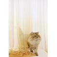 thumbnail image 2 of ZMLEVE Window Sheer Gradient Yellow Curtains 72 Inches Long 2 Panels Sheer Curtains Sheer Curtain Basic Rod Pocket Panel For Bedroom Living Room Yard Kitchen (Gradient-Yellow, 52"W x 72"L | 2 pcs), 2 of 5