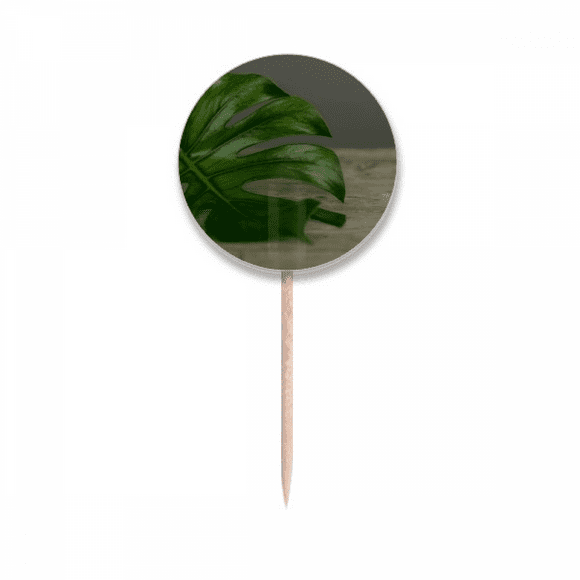 Table   Picture Nature Toothpick Flags Round Labels Party Decoration