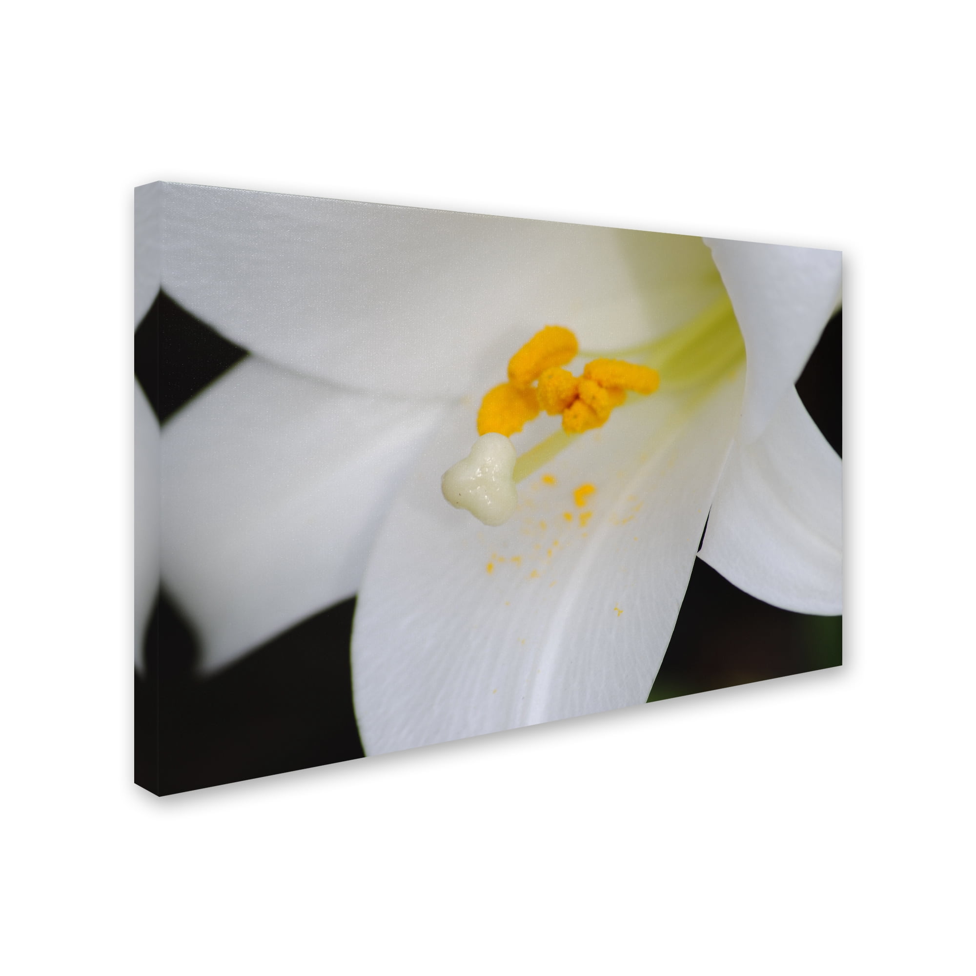 Trademark Fine Art "One Word" Canvas Art by Monica Mize