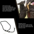 thumbnail image 3 of Nylon Dog Training Leash, Slip Choke Control for Outdoor Walking and Training, Dog Leash Rope, 3 of 7