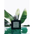 thumbnail image 3 of EIGHT & BOB CHAMPS DE PROVENCE de Eight & Bob, EAU DE PARFUM SPRAY 3.4 OZ, 3 of 3