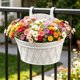 thumbnail image 4 of Plastic Wall Mounted Planter Pot Semi Circular Hanging Flower Pot For Indoor Outdoor Balcony Garden Verticals Planting Herbs Flowers Small Plants Home Decor, 4 of 6