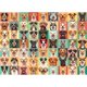 thumbnail image 1 of Rompecabezas Hiwhy Vibrant Dog Faces 1000 piezas, 1 of 7