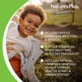 thumbnail image 4 of Suplemento masticable Natures Plus Animal Parade para niños 180, 4 of 8