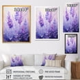 thumbnail image 4 of Designart "Serenity of Lavender IV" Floral Framed Wall Art - Traditional Purple Herbs Living Room Framed Canvas Art, 4 of 6