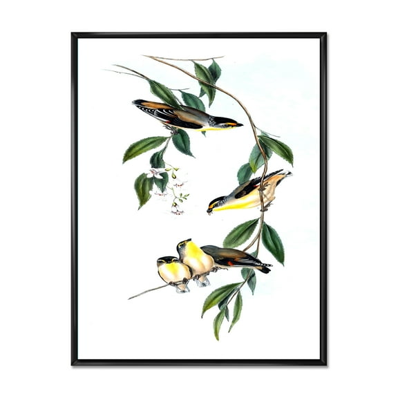 Designart 'Ancient Bird III' Traditional Framed Canvas Wall Art Print