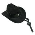 thumbnail image 3 of Sombrero de disfraz para mascotas perfecl sombrero de vaquero Negro, 3 of 8