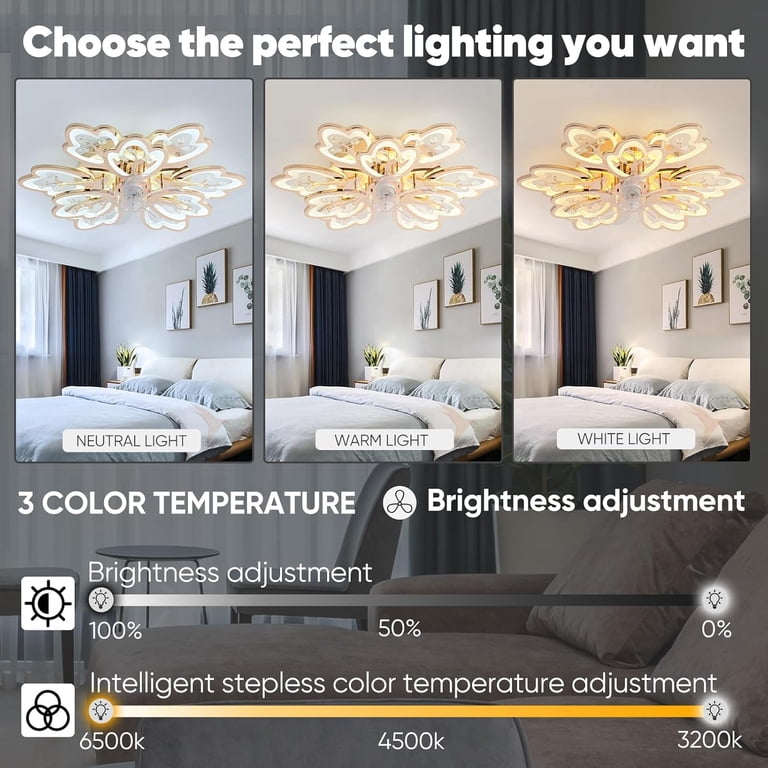 Bedroom Ceiling Fan With Timer ZOYDP Ceiling Fans With Lights & Remote ...