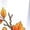 White, variant on Women Halloween Witch Hat Tiger Fox Fall Graphic White Crew Neck Short Sleeve Casual T-Shirt
