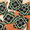 12x12 Inch-Green and Black Floral Tile, variant on 12x12 Inch Sunflower and Geometric Pattern Peel Stick Vinyl Floor Tiles