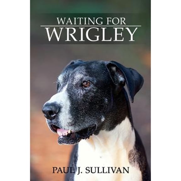 Waiting For Wrigley (Paperback) by Paul J Sullivan