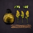 thumbnail image 3 of Halston Colonia para hombre, 1-12 Eau De Colonia EDC Spray, 4.2 onzas líquidas, 3 of 5