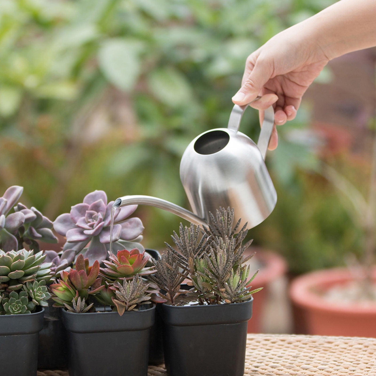 Fridja 500ML Small Metal Watering Can With Long Spout To Prevent Spillage, Perfect Plant For Outdoor And Indoor Plants