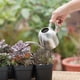 thumbnail image 5 of Regadera de acero inoxidable - Regadera de metal con pico largo para evitar derrames, regadera perfecta para plantas de exterior e interior. Hervidor de agua de acero inoxidable., 5 of 9