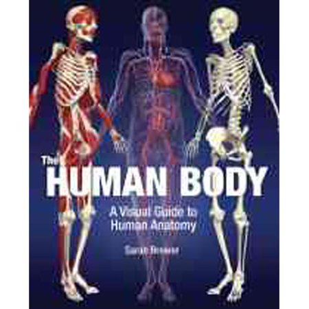 The Human Body: A Visual Guide to Human Anatomy - Walmart.com