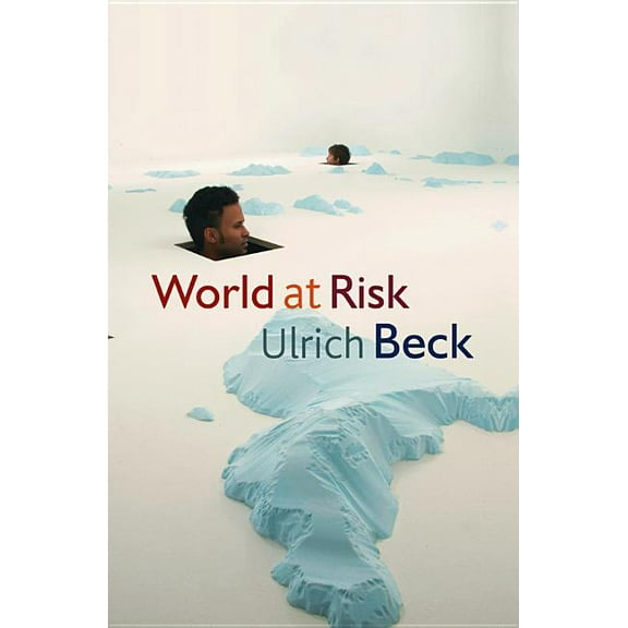 World at Risk (Paperback)