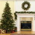 thumbnail image 1 of Vickerman A801680 9 Pi x 61 Po Mince Arbre de Campagne Mixte 1956T, 1 of 4