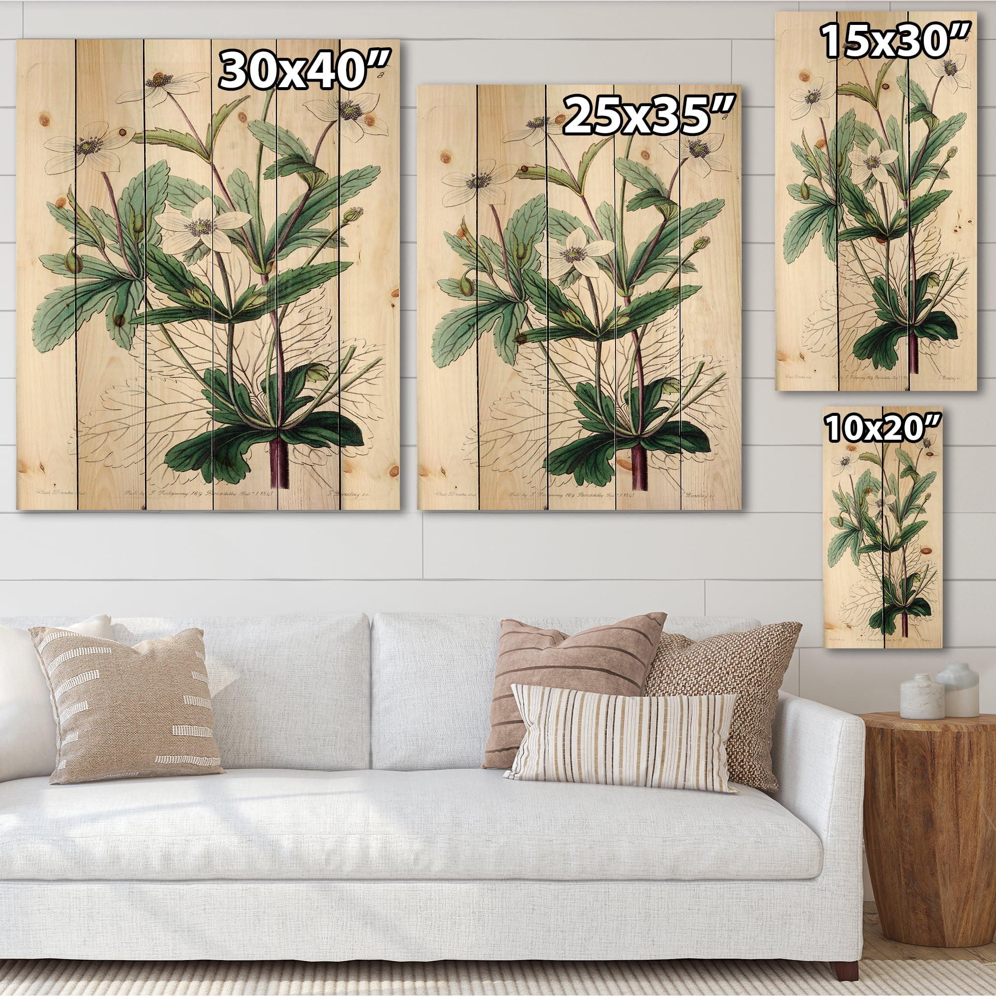 Designart 'Ancient Plant Life XXI' Traditional Print on Natural Pine Wood