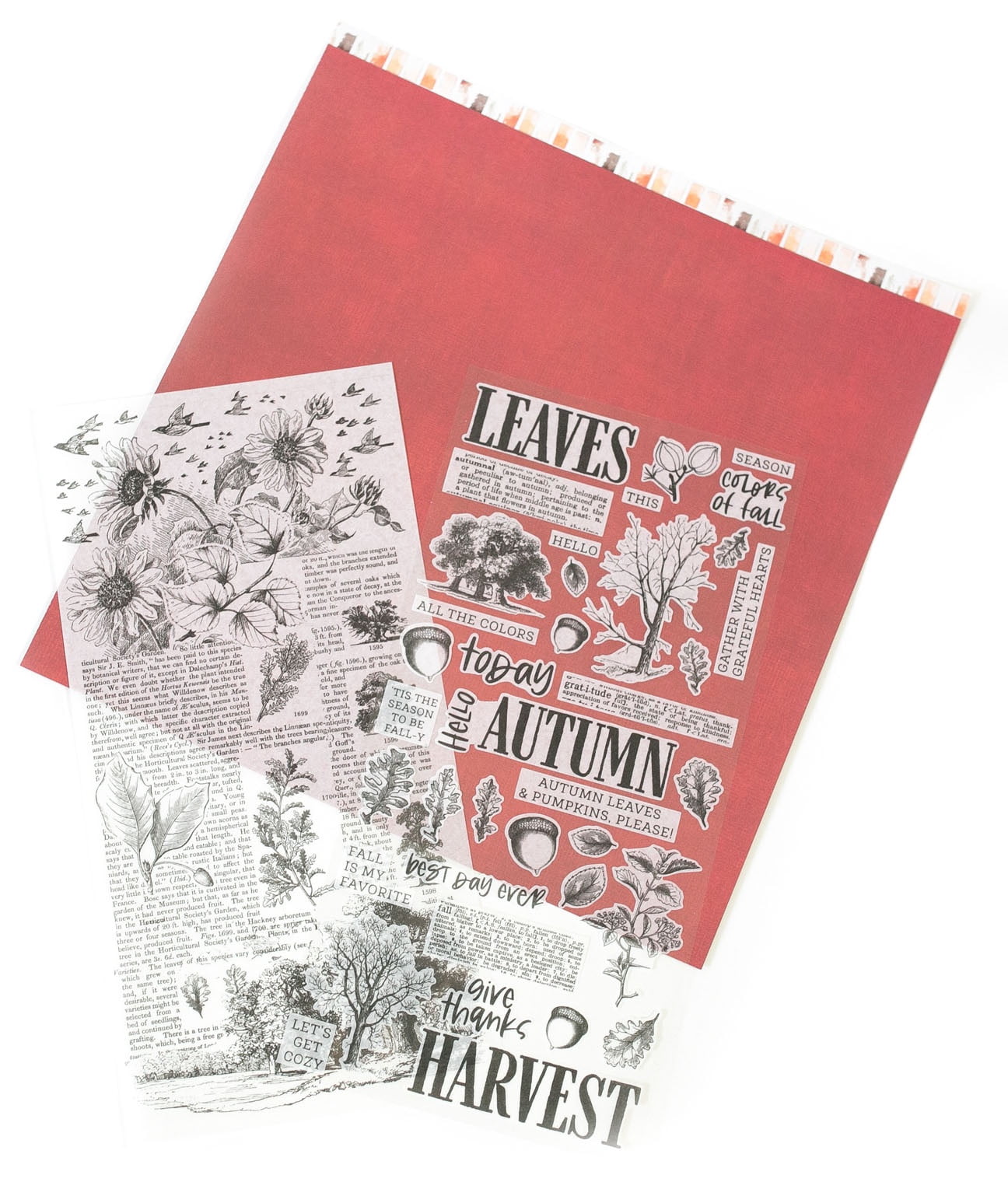 49 And Market Washi Tape-Vintage Artistry In The Leaves