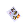 thumbnail image 4 of pitrice 5x Mini Crankbait Leurres de Pêche Appâts de Pêche Réalistes pour Truite Doré Style Bateau A Style D, 4 of 5
