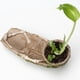 thumbnail image 5 of con Suculentas Maceta Maceta Maceta Jardinera Macetas Jardín, 5 of 9