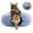 Blue, variant on Cattasaurus Indoor Kitty Peekaboo Felt Tunnel Bed for Cats up to 30 lbs, Large, Blue