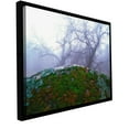 thumbnail image 2 of ArtWall Dean Uhlinger "Domeland Winter" Floater Framed Gallery-Wrapped Canvas, 2 of 2