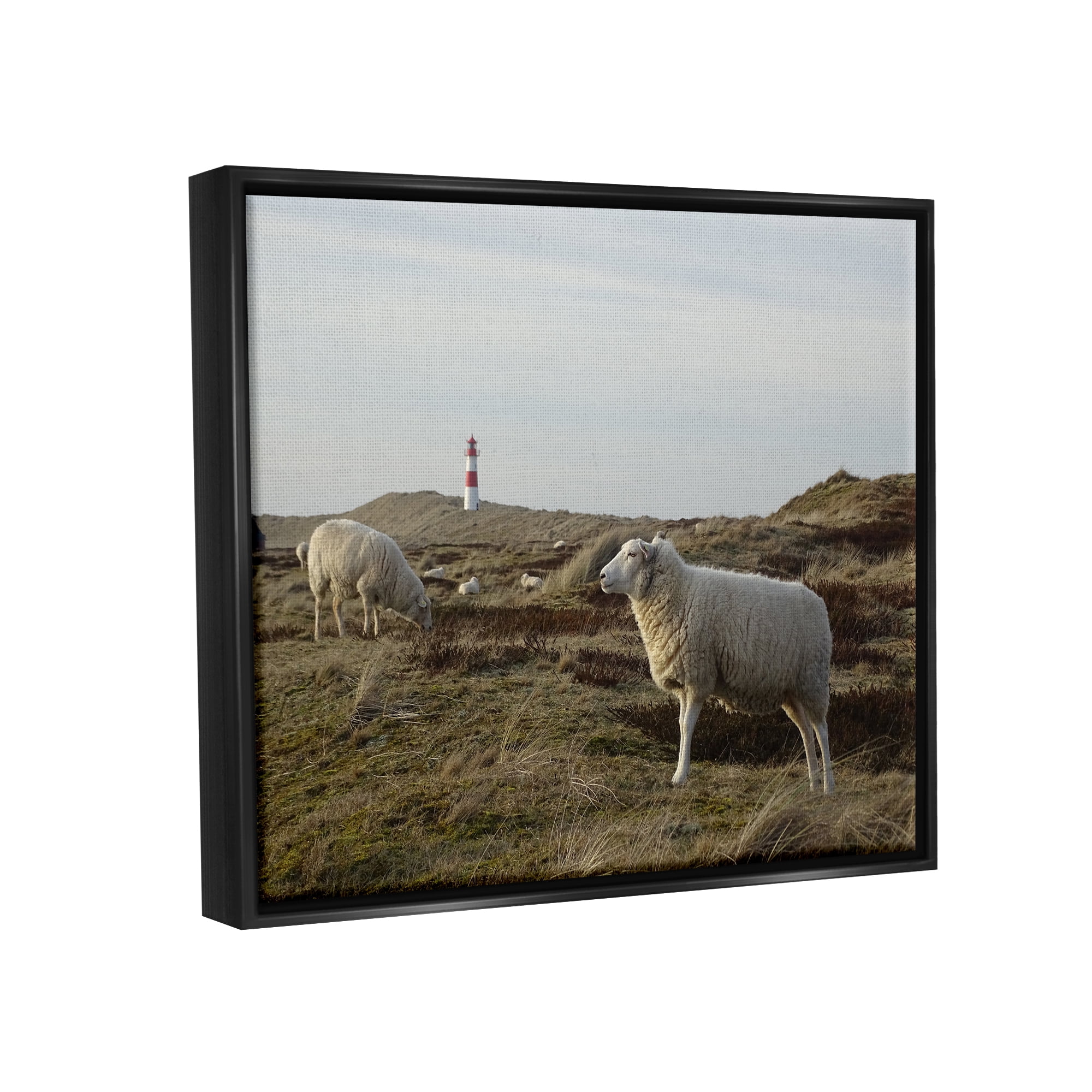 Stupell Industries Grazing Sheep Peaceful Grassland Hills Distant Lighthouse Photograph Jet Black Floating Framed Canvas Print Wall Art, Design by Daphne Polselli