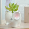 thumbnail image 4 of Cute Animal Succulent Plant Pots Cute Animal Ceramic Planter Home Garden Decor, 4 of 6