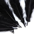 thumbnail image 3 of 50 Manualidades de s de Gallo Teñidas para Suministros de Gallo, Color Negro, 3 of 9