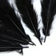 thumbnail image 3 of 25 Pares de Ropa de Plumas de Gallo Teñidas de Negro para Manualidades DIY, 3 of 9